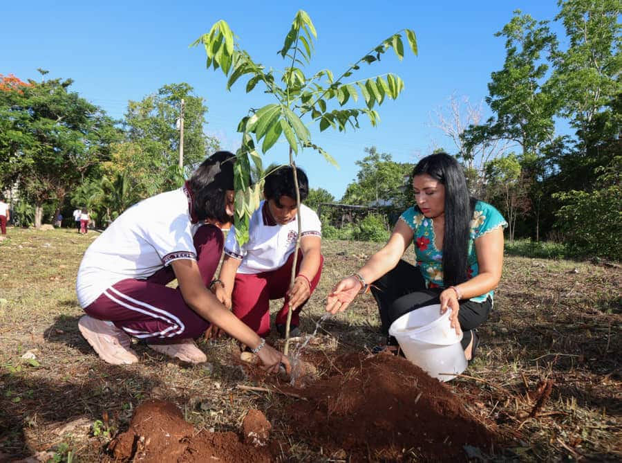 Encabeza Blanca Merari jornada de Reforestación en la secundaria "Francisco Zarco"