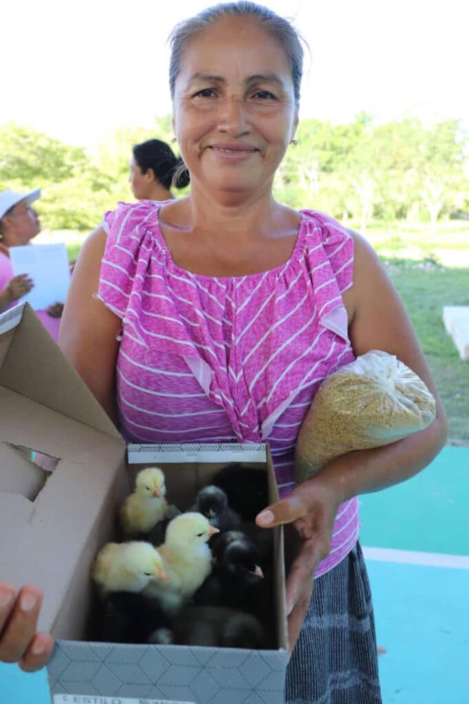 Miles de bacalarenses se han beneficiado con programas de aves de traspatio impulsado por "Chepe" Contreras