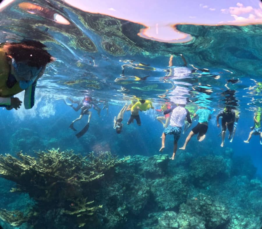 Fortalece La Fundación de Parques y Museos de Cozumel la restauración y siembra de corales en Punta Sur