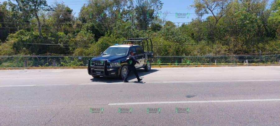 Encuentran un cuerpo humano sin vida en las inmediaciones del hotel Sirenis