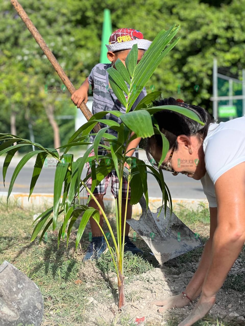 Organizan jóvenes jornada de reforestación en Puerto Morelos