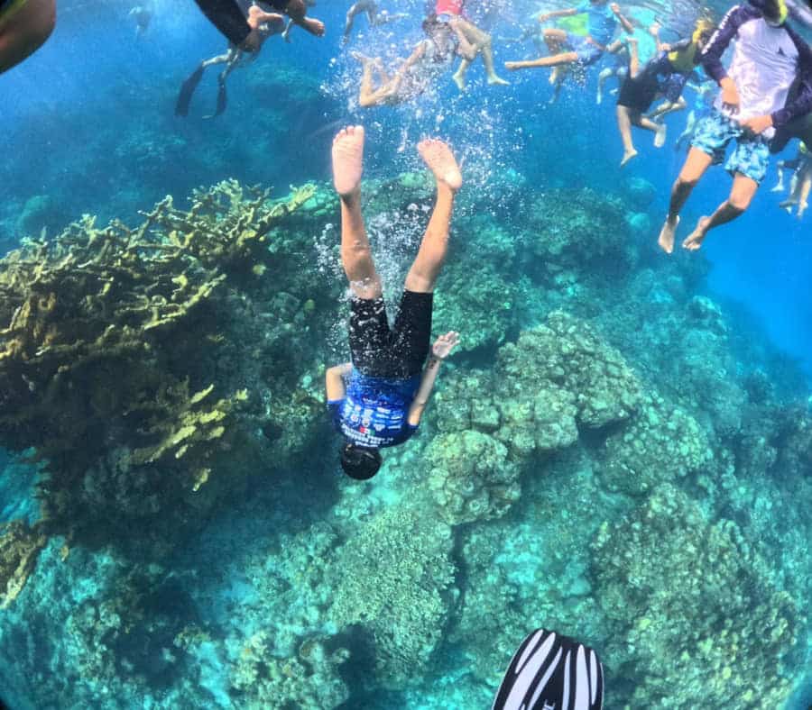 Fortalece La Fundación de Parques y Museos de Cozumel la restauración y siembra de corales en Punta Sur

