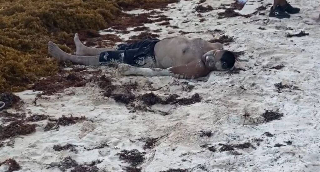 Muere hombre ahogado en el Parque Nacional de Tulum