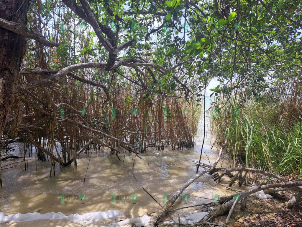 Muere mujer ahogada en laguna de Tulum