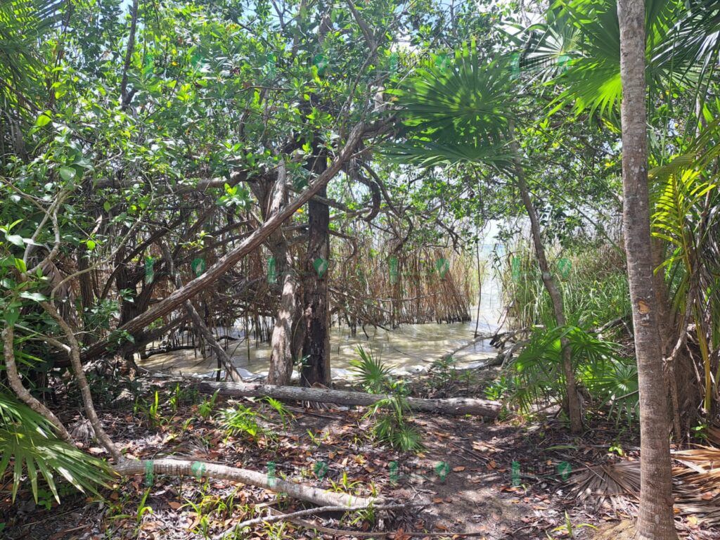 Muere mujer ahogada en laguna de Tulum