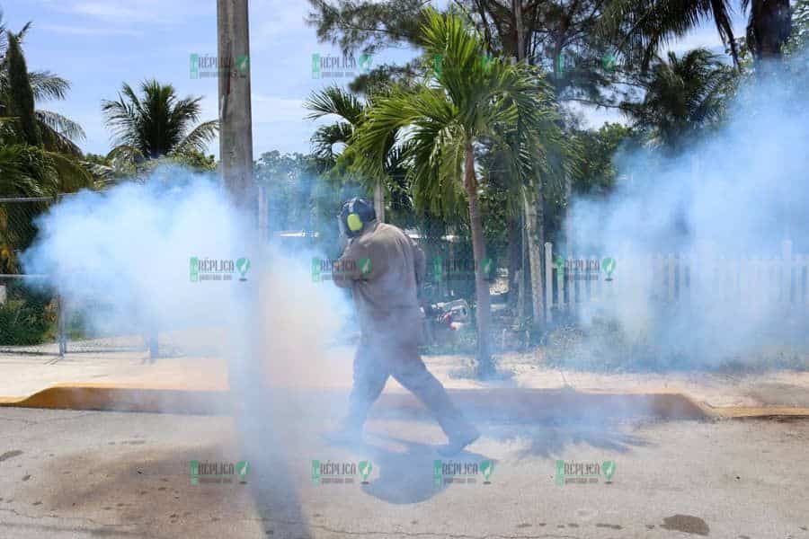 Fumigan colonias de Puerto Morelos para combatir enfermedades transmitidas por vector