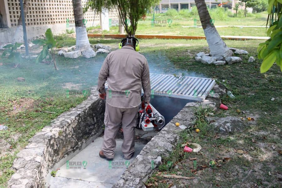 Fumigan colonias de Puerto Morelos para combatir enfermedades transmitidas por vector