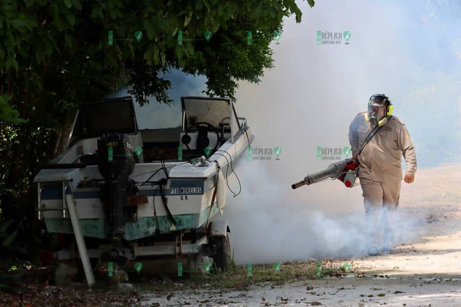 Fumigan colonias de Puerto Morelos para combatir enfermedades transmitidas por vector