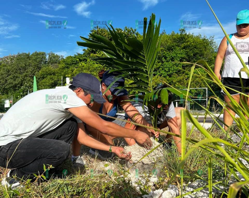 Organizan jóvenes jornada de reforestación en Puerto Morelos