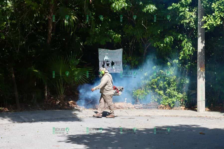 Con trabajo coordinado entre gobierno de Puerto Morelos y SESA combaten al mosco transmisor del dengue