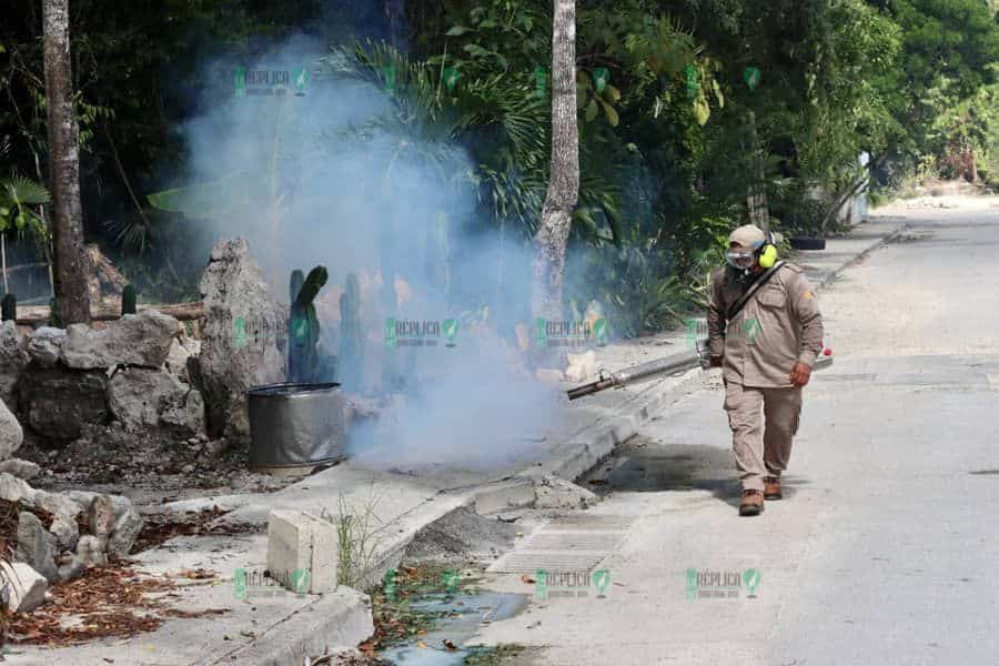 Con trabajo coordinado entre gobierno de Puerto Morelos y SESA combaten al mosco transmisor del dengue