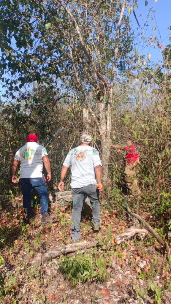 Coordinación de Protección Civil de Puerto Morelos se mantiene atenta ante intenso calor