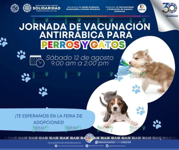 Gobierno municipal invita a la “Feria de Adopción”