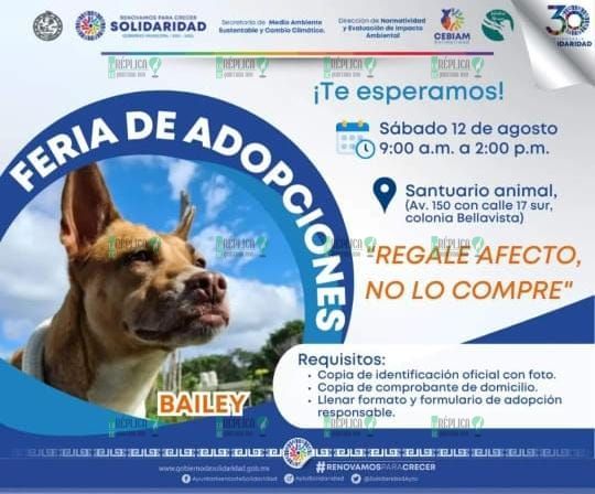 Gobierno municipal invita a la “Feria de Adopción”