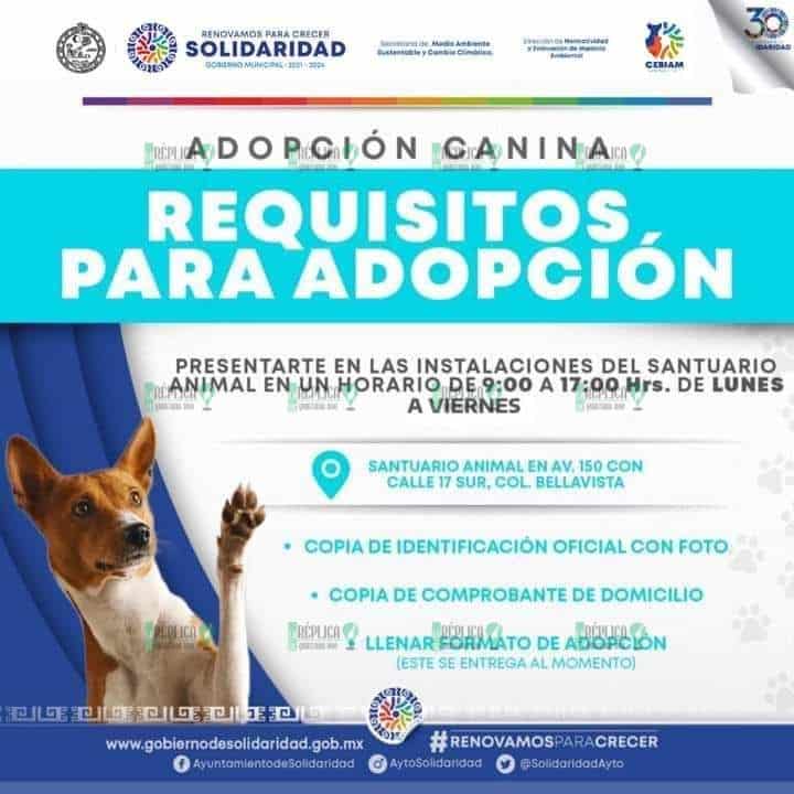 Gobierno municipal invita a la “Feria de Adopción”