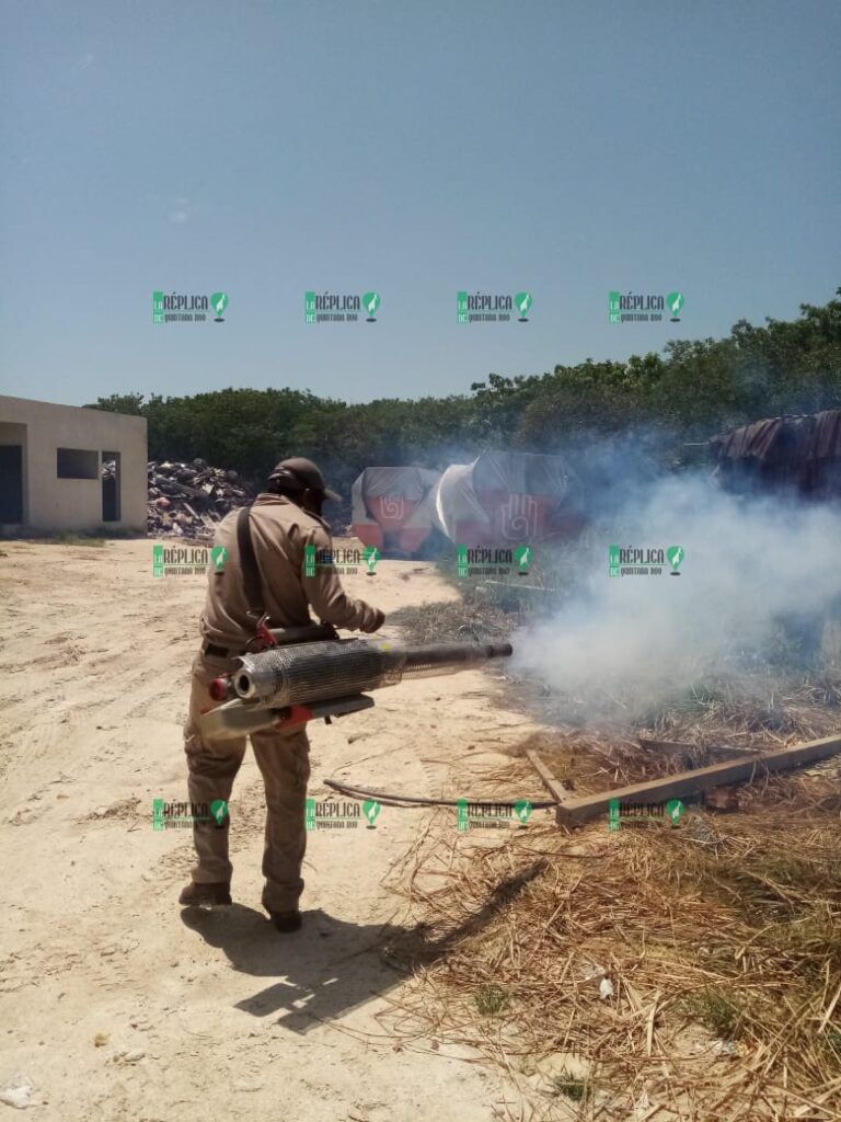 Tras presiones, inicia campaña de nebulización en Holbox