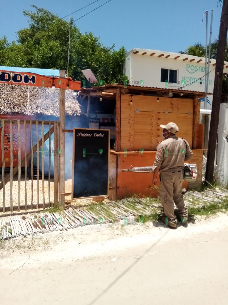 Tras presiones, inicia campaña de nebulización en Holbox