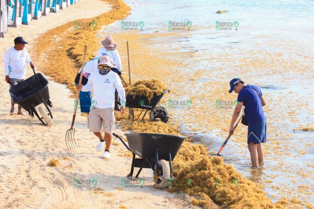 cciones de medio ambiente a favor de locales, visitantes y turistas