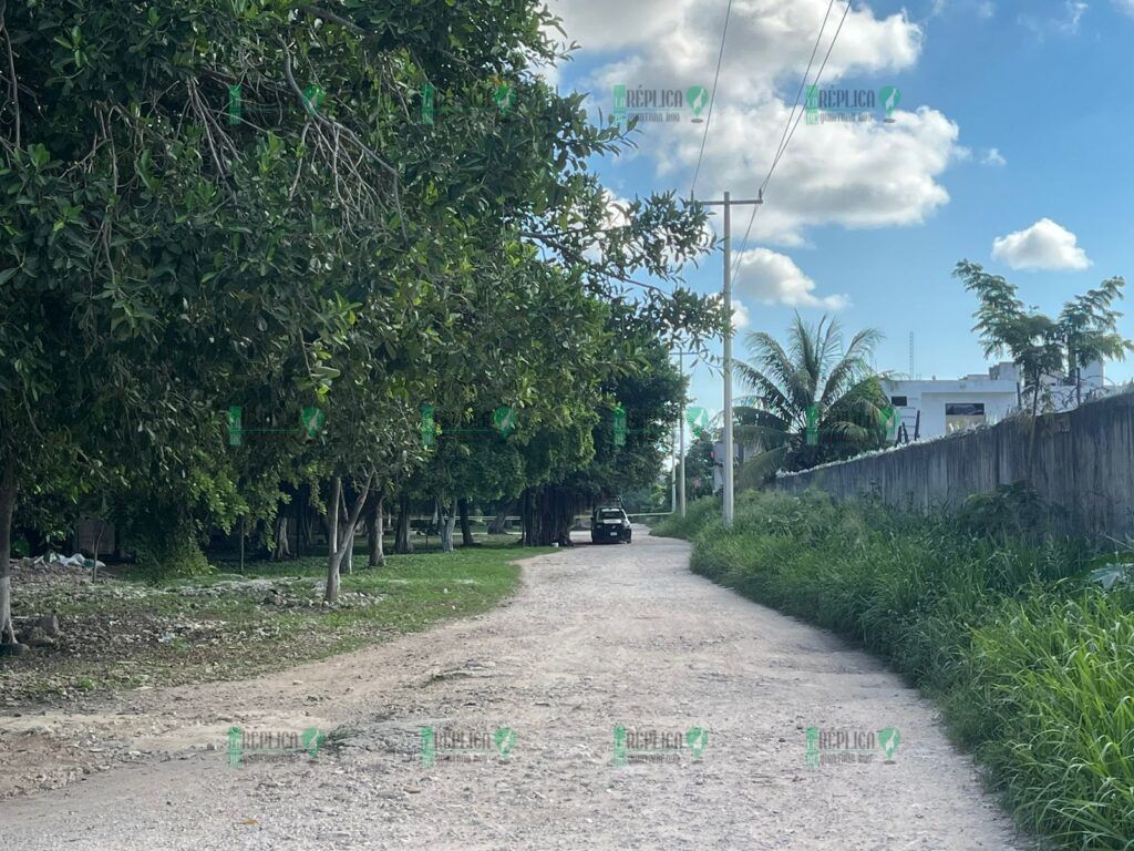 Abandonan restos humanos en un camino de terracería de la colonia Maracuyá de Cancún