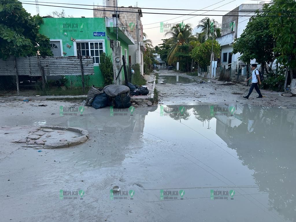 Holbox desesperado por basura, inundación y mosquitos