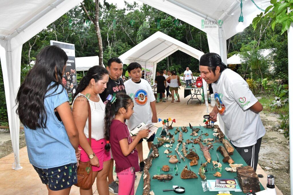 La Fundación de Parques y Museos llevó a cabo el Festival Infantil “¿Qué Hongo con los Hongos y Algas de Cozumel?”