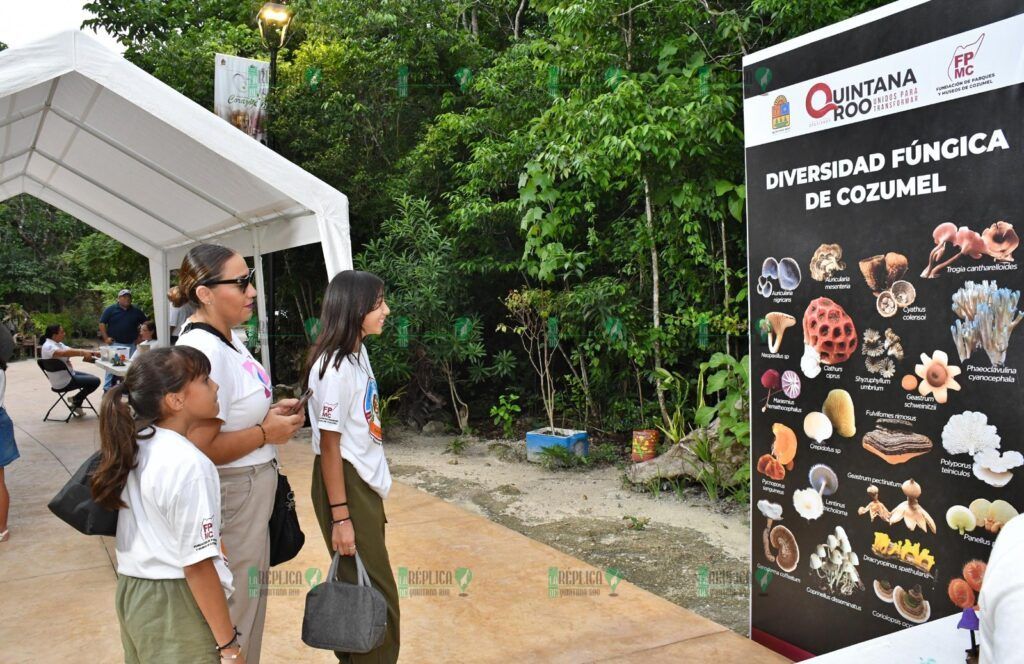 La Fundación de Parques y Museos llevó a cabo el Festival Infantil “¿Qué Hongo con los Hongos y Algas de Cozumel?”