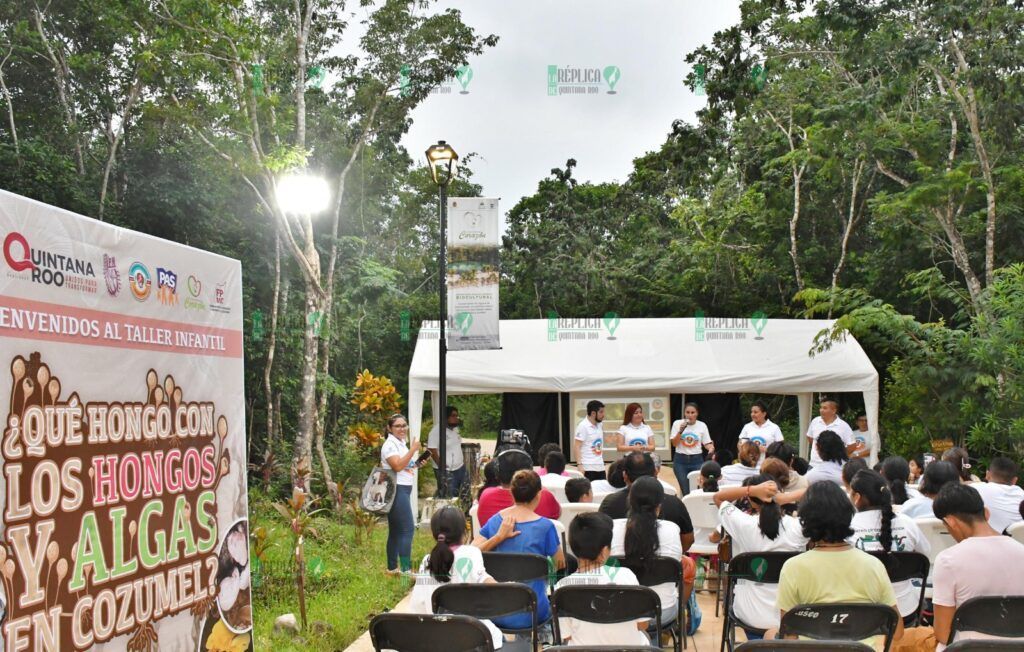 La Fundación de Parques y Museos llevó a cabo el Festival Infantil “¿Qué Hongo con los Hongos y Algas de Cozumel?”