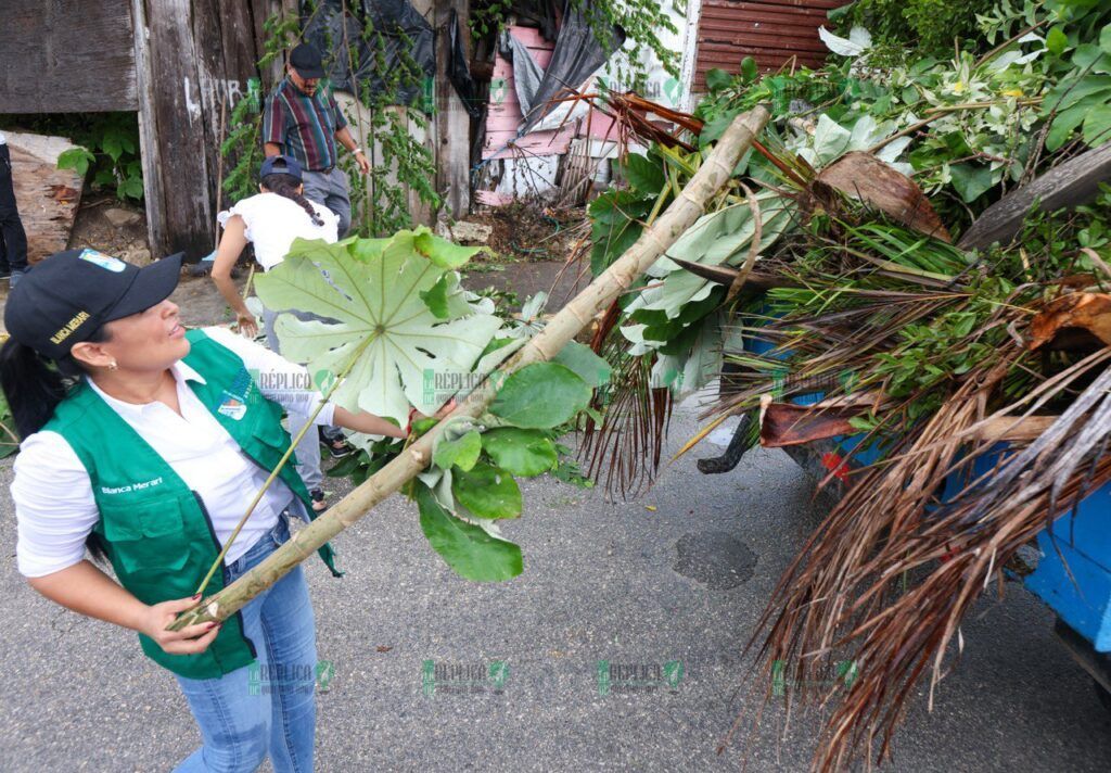 “Limpiamos tu colonia” embellece la calle almendros, en la región 17 de Puerto Morelos