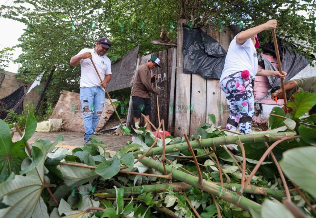 “Limpiamos tu colonia” embellece la calle almendros, en la región 17 de Puerto Morelos