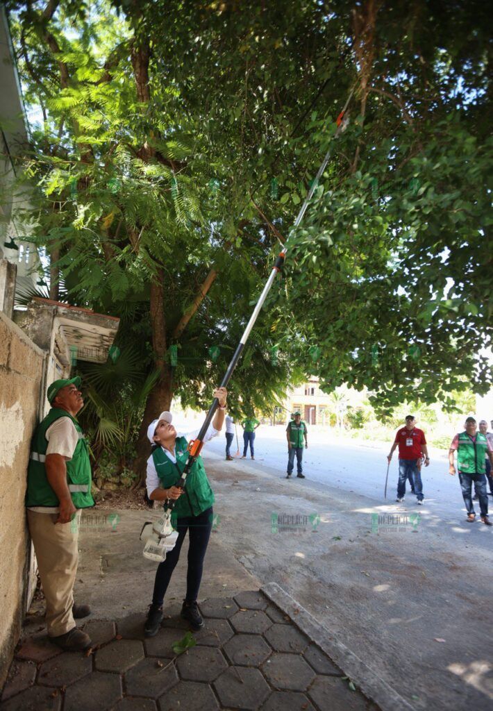 Encabeza Blanca Merari jornada del programa “Limpiamos tu Colonia” en el casco antiguo