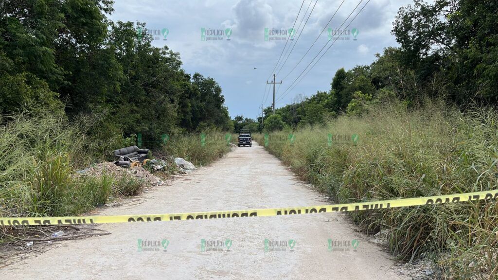 Hallan una osamenta humana en una área verde de la Región 214 de Cancún