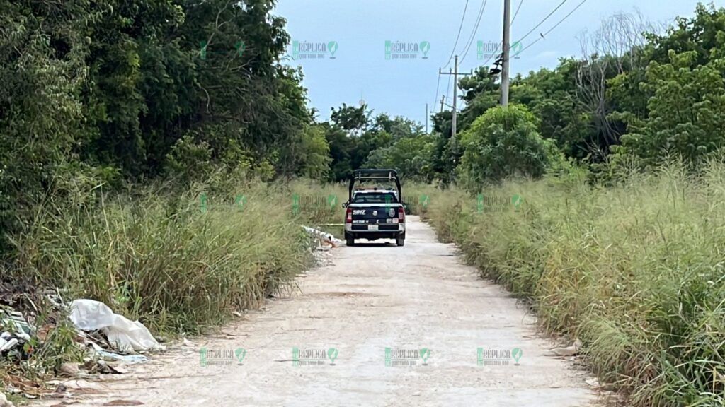 Hallan una osamenta humana en una área verde de la Región 214 de Cancún