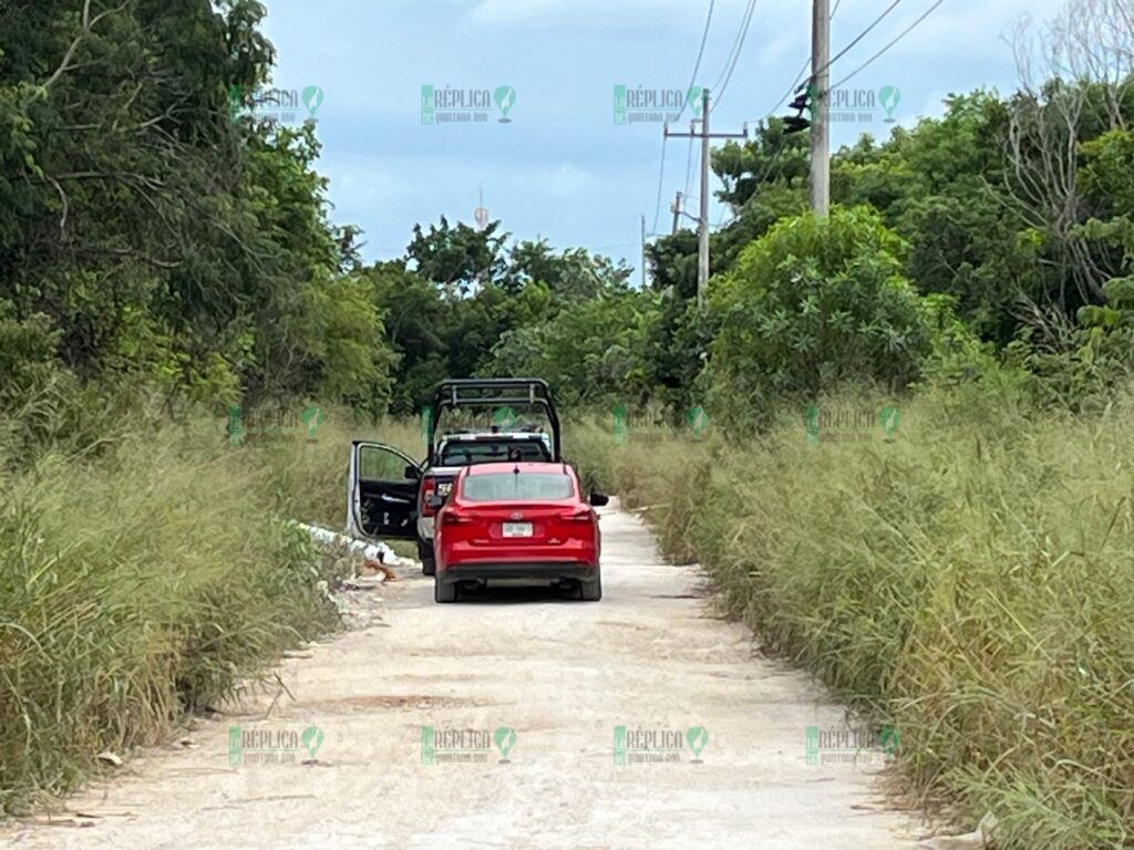 Hallan una osamenta humana en una área verde de la Región 214 de Cancún