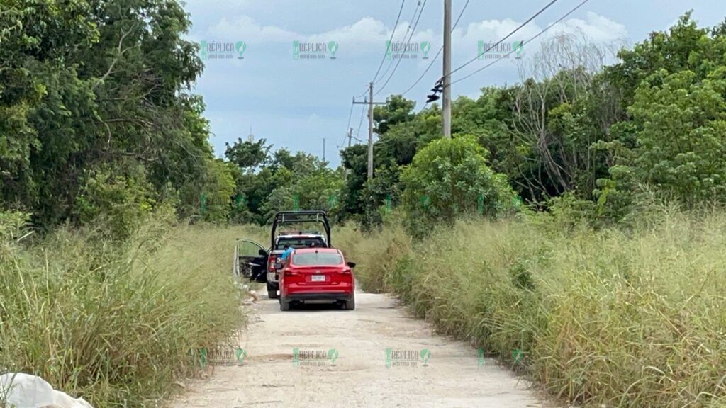 Hallan una osamenta humana en una área verde de la Región 214 de Cancún