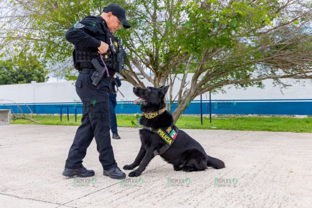 Binomios caninos refuerzan la seguridad en Solidaridad