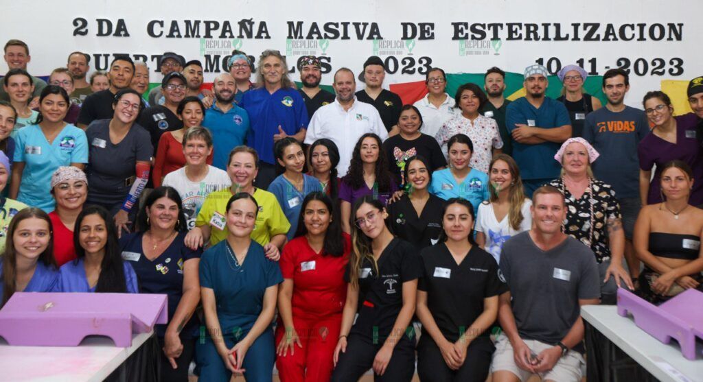 Ponen en marcha la segunda campaña masiva de esterilización de fauna doméstica en Puerto Morelos