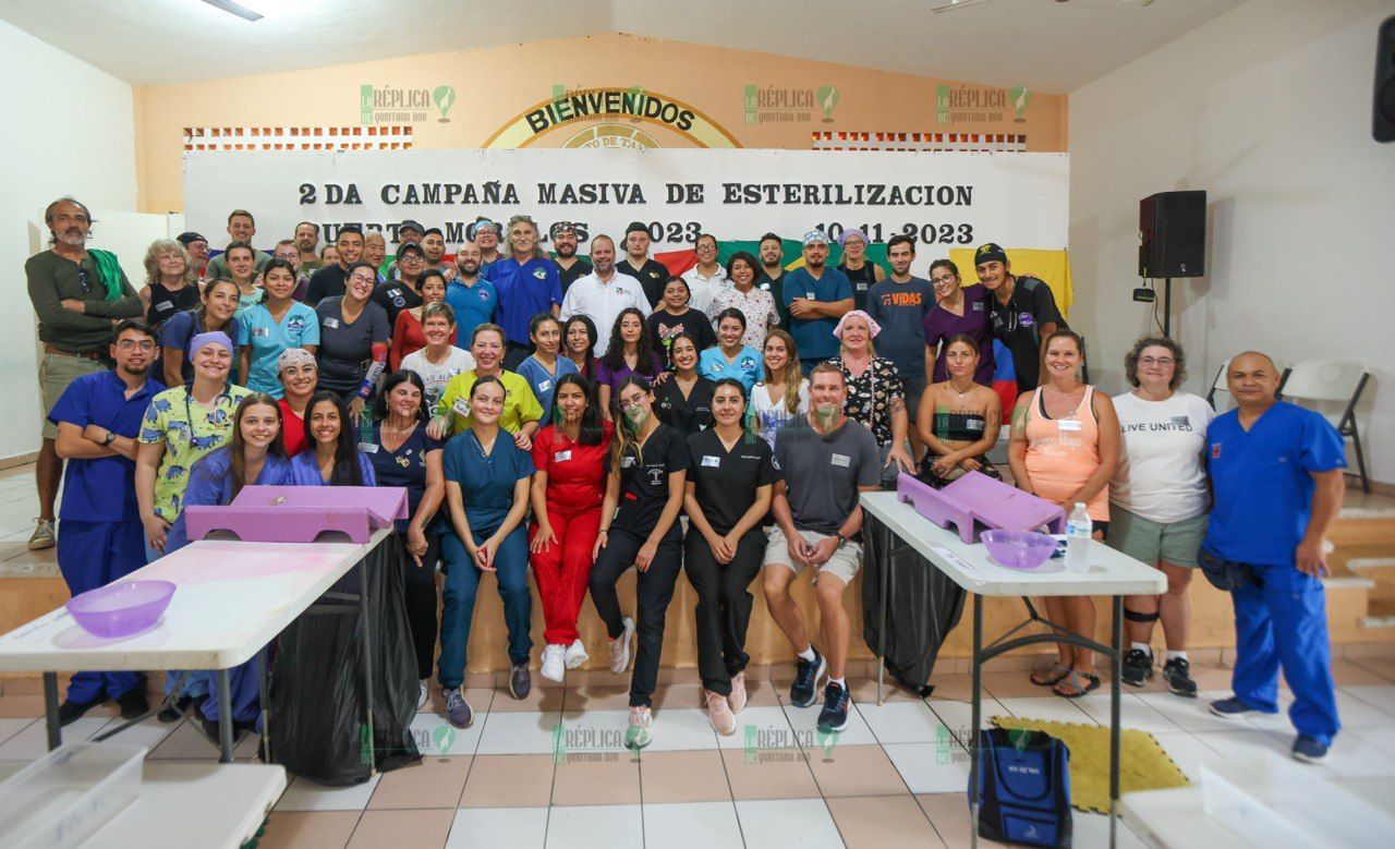 Ponen en marcha la segunda campaña masiva de esterilización de fauna doméstica en Puerto Morelos
