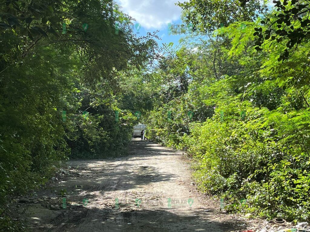 Hallan tres cadáveres, dos de ellos decapitados, en la colonia 'La Amistad' de Cancún