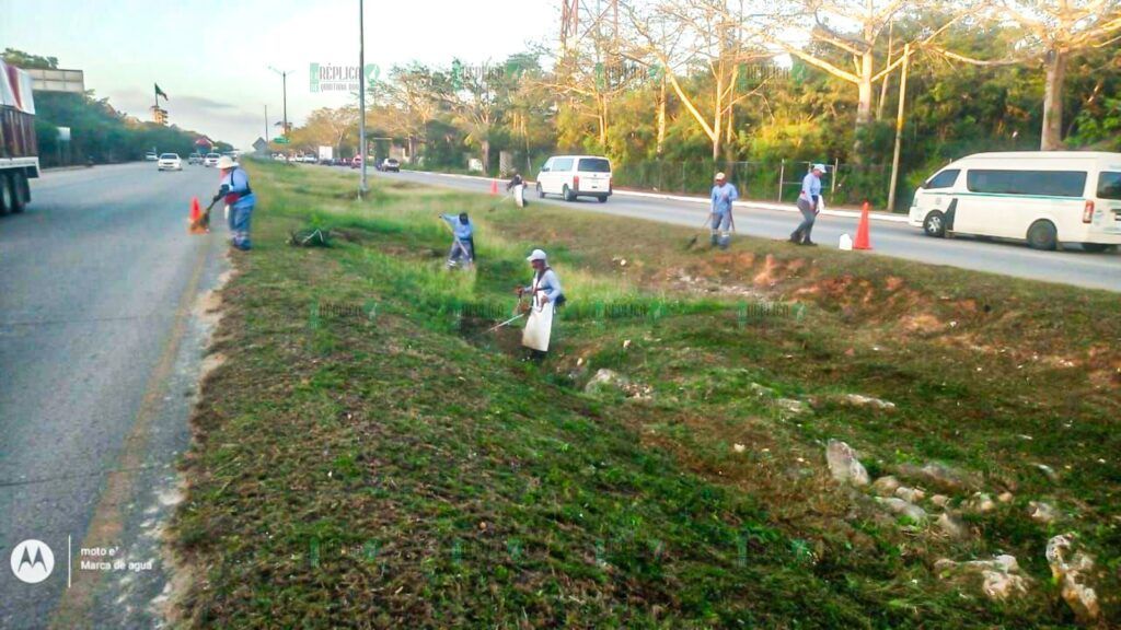 Mantienen carreteras limpias en Solidaridad