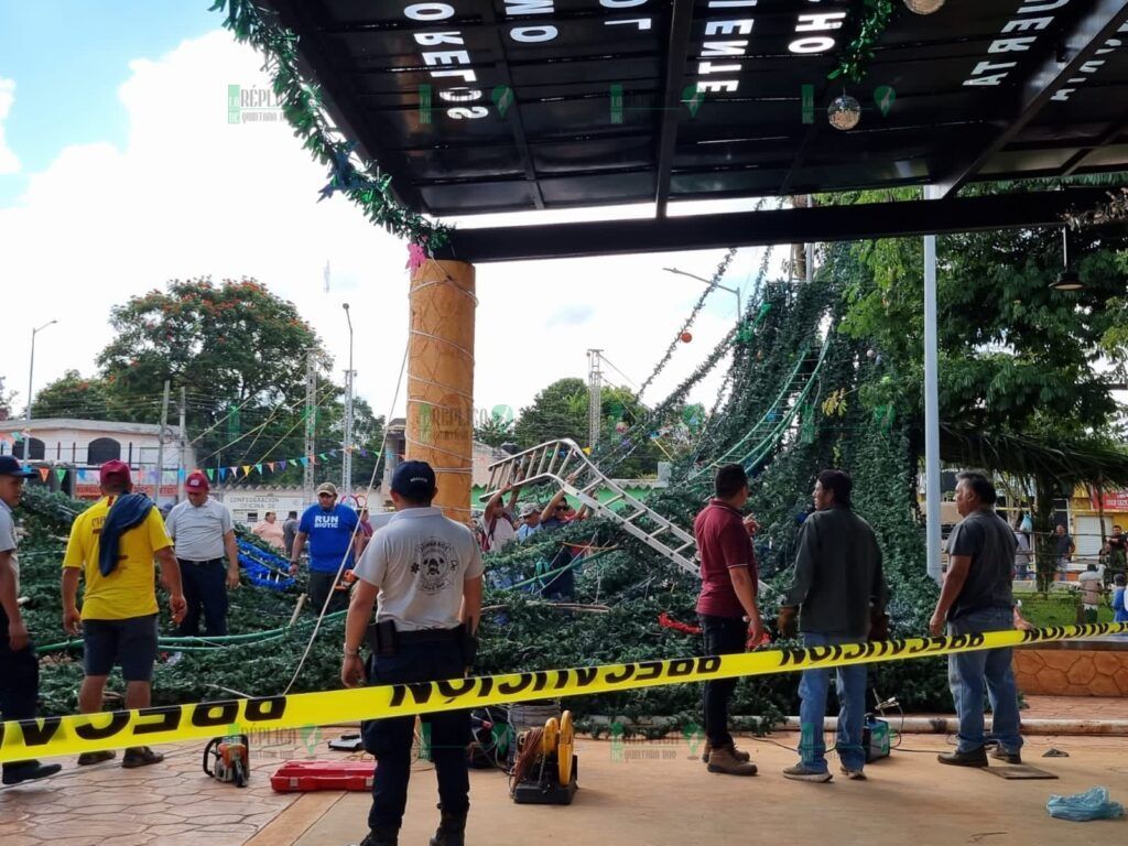 José María Morelos, Quintana Roo.- Se desploma árbol navideño en José María Morelos, el día de su encendido. El evento se llevó a cabo como estaba planeado.