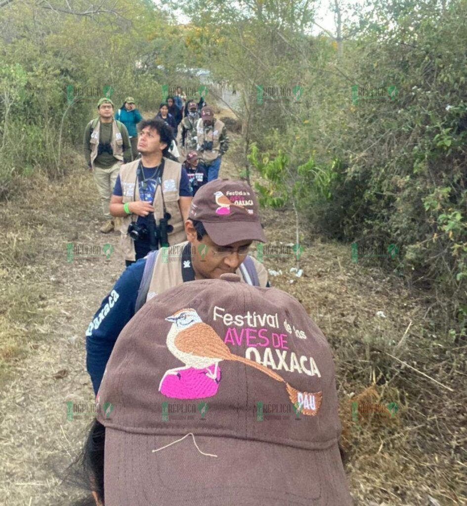 La Fundación de Parques y Museos participa en el Festival de las Aves de Oaxaca