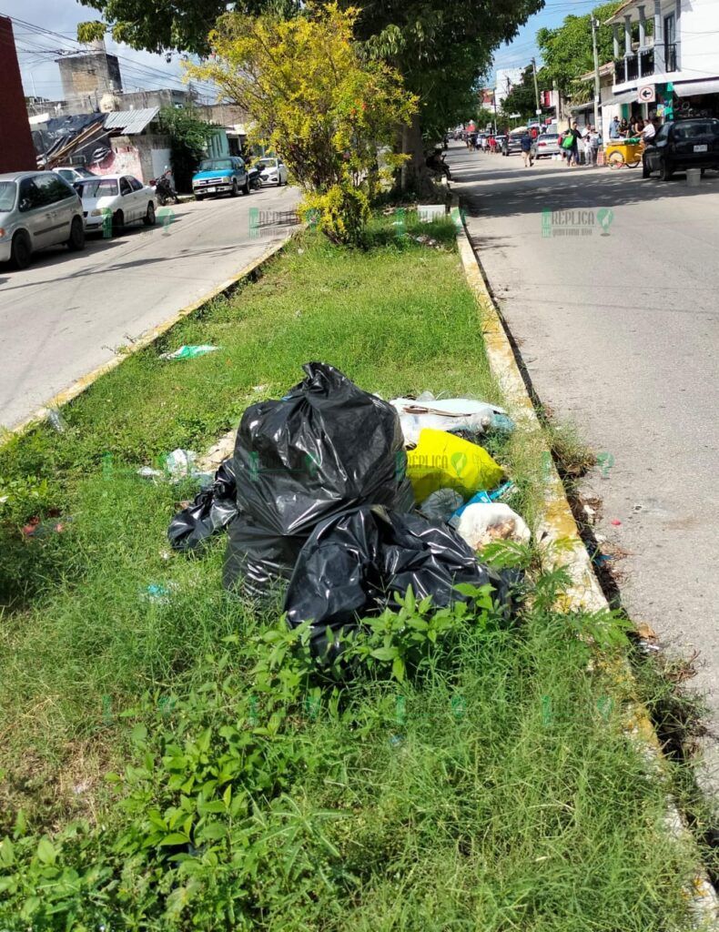 Utilizan camellones como basureros en pleno centro de Cancún