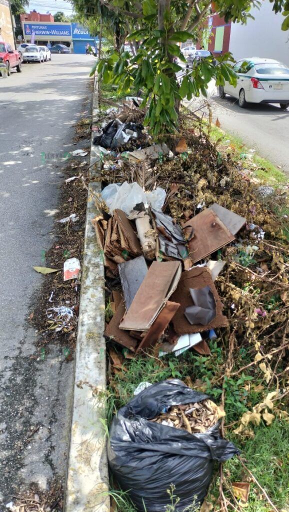 Utilizan camellones como basureros en pleno centro de Cancún