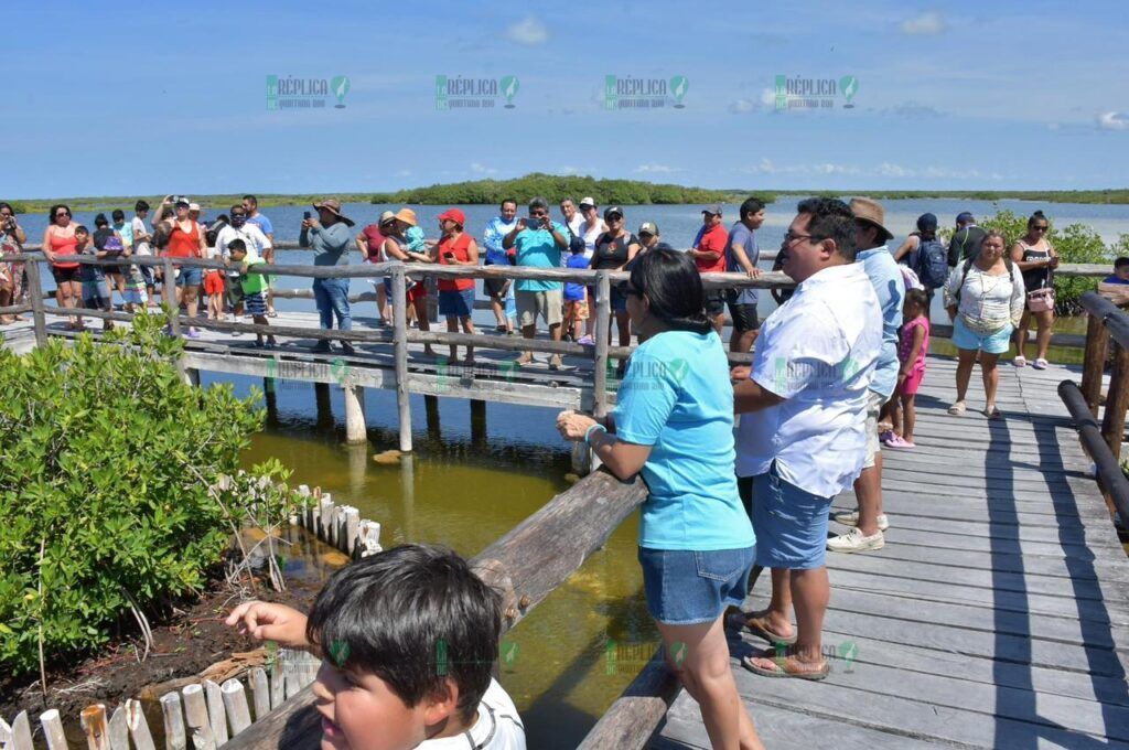 Punta Sur recibió a más de 2 mil estudiantes de todos los niveles en el 2023