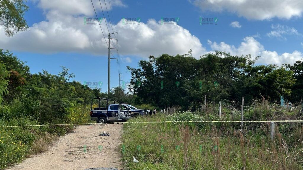 Hallan cuerpo calcinado en colonia de Cancún