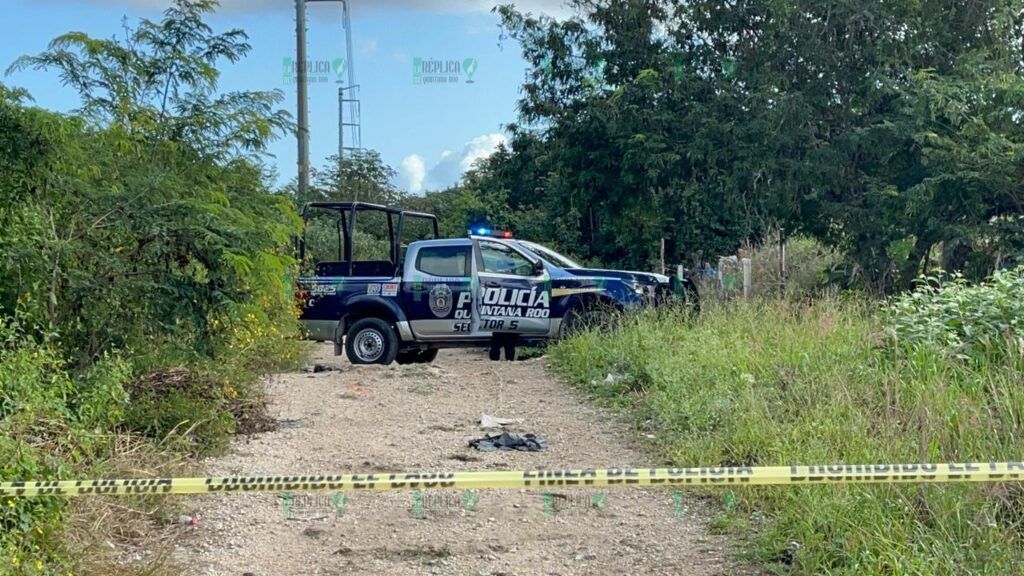 Hallan cuerpo calcinado en colonia de Cancún