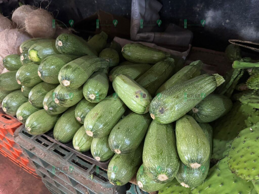 Precio de verduras aumenta tres veces en el Mercado 23 de Cancún