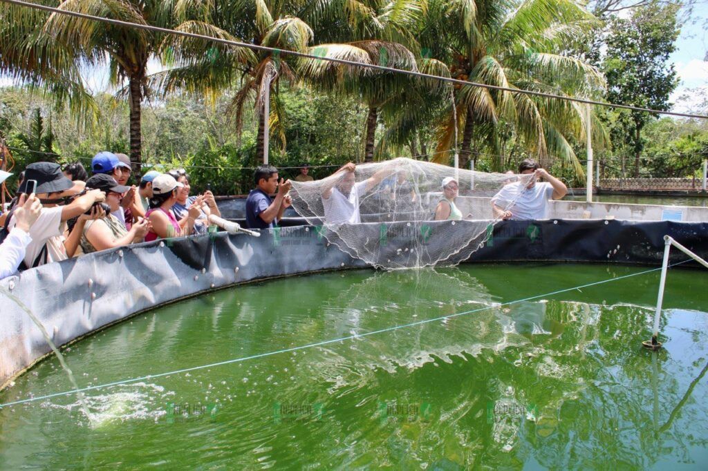 Impulsa gobierno de Puerto Morelos la constitución de una sociedad cooperativa de acuicultores en Leona Vicario