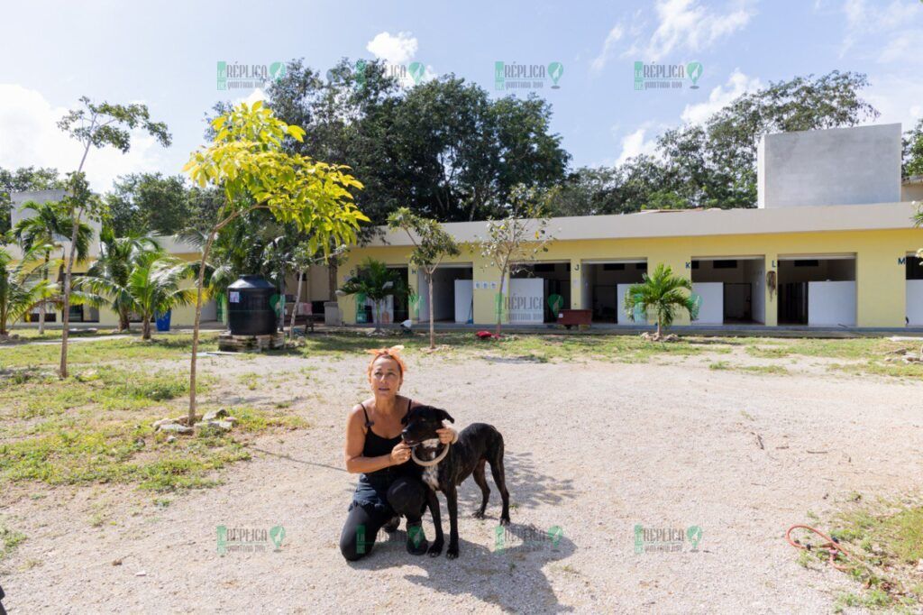 Atención integral a mascotas en Solidaridad