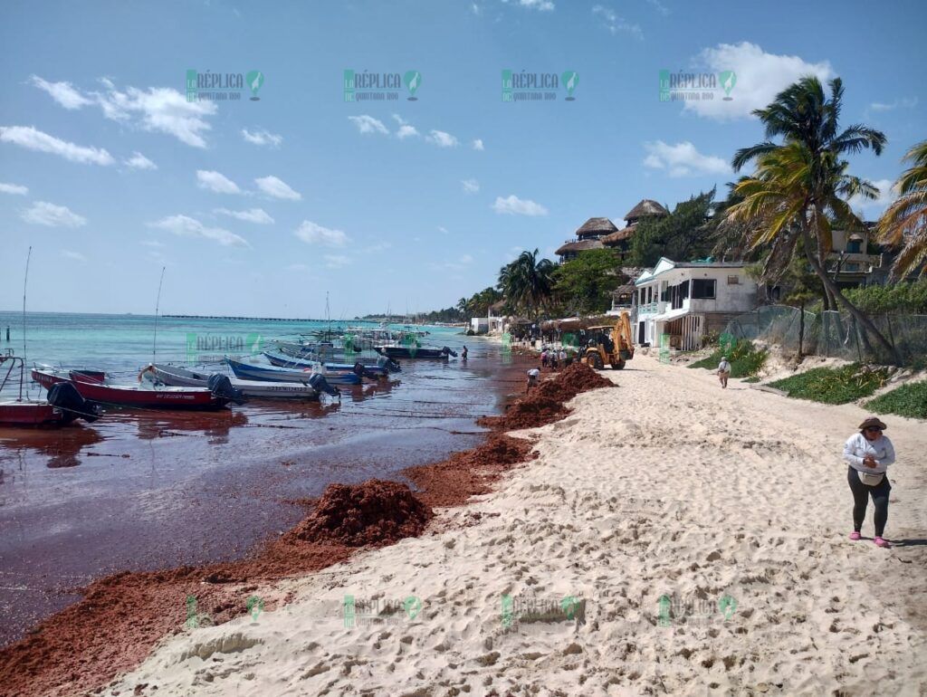 Agobian a pescadores sargazo y vientos de 'Norte', en Playa del Carmen